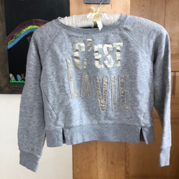 Aeropostale Other - P.S. Graphic Cropped Sweatshirt!